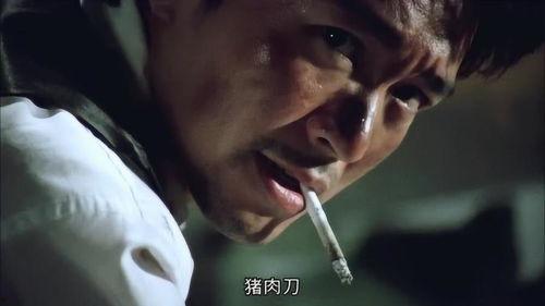 在线观看国产007电影,暗影崛起，揭秘神秘特工的传奇征程