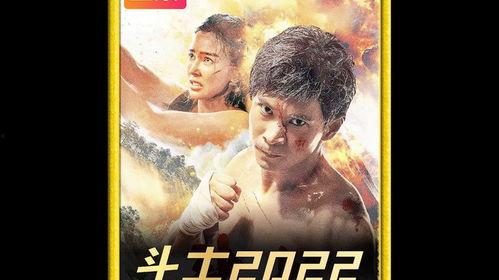 国产动作电影在线观看