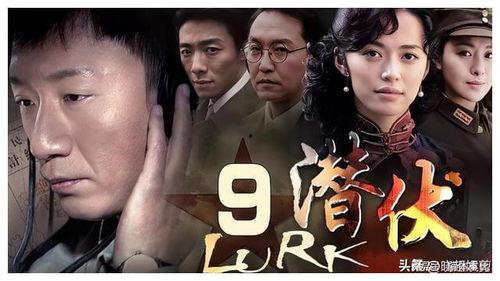 最多国产剧在线观看播放